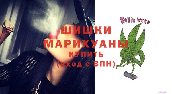 молекула духа Мегион