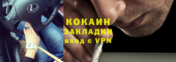 молекула духа Мегион