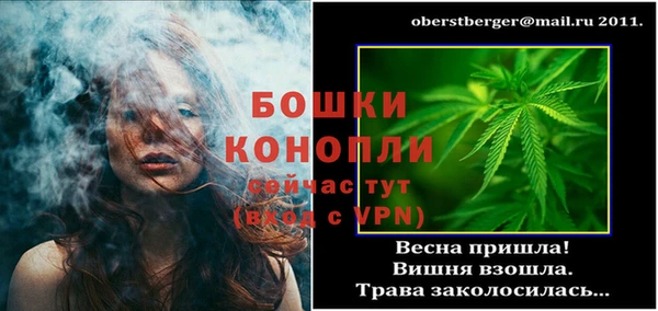 молекула духа Мегион